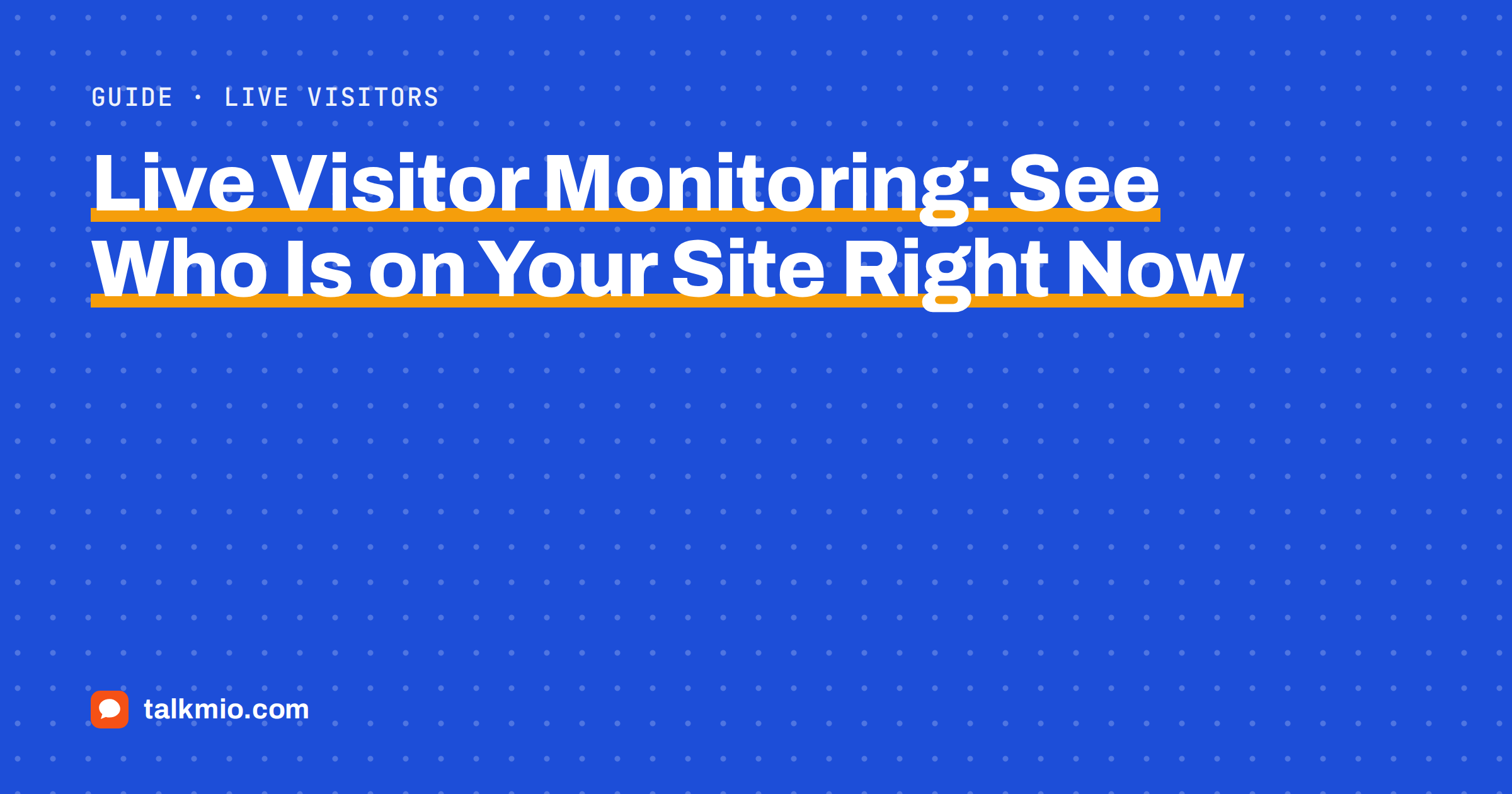 Live visitor monitoring list showing current page, device and traffic source